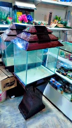 fish aquarium