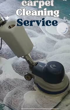 Water Tank Cleaning/Sofa Carpet Rugs Cleaning/Termite Proofing