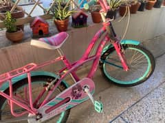 Pink Cycle for Girl Size 20