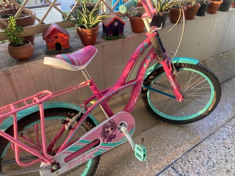 Pink Cycle for Girl Size 20 0