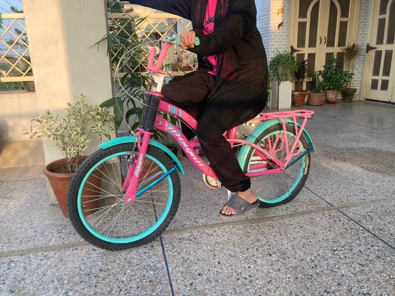 Pink Cycle for Girl Size 20 2