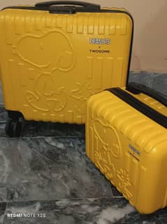 luggage bags important material