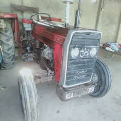 Massey 24p