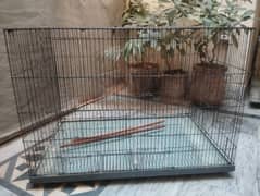 cage for parrots