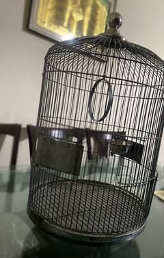 raw parrot cage