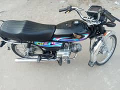 Honda 70 cc 2024 model