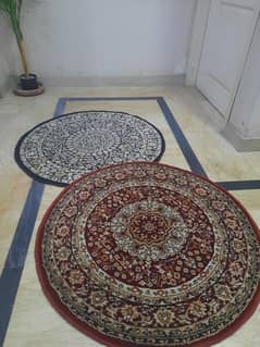 New pair of rugs