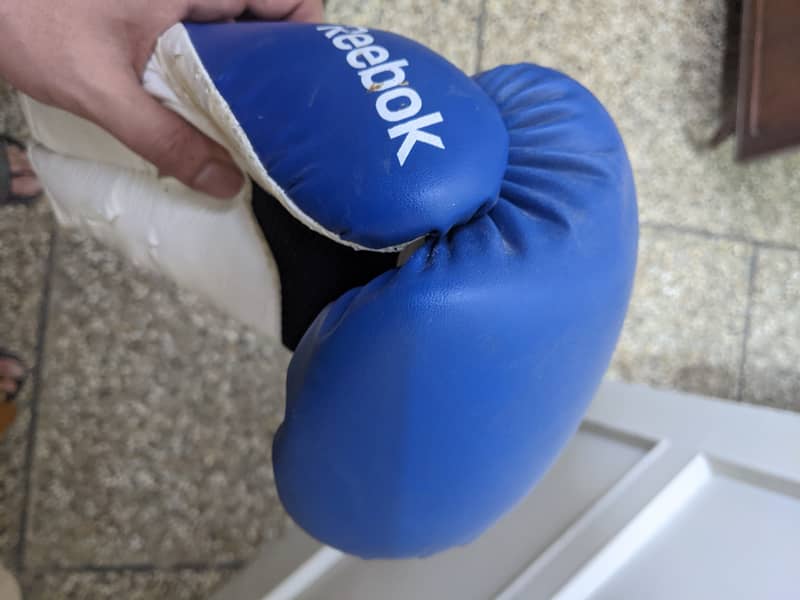 Punching Bag with punching gloves (leather) 1