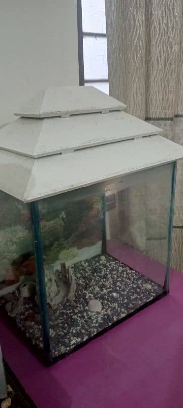 white color aquarium 1