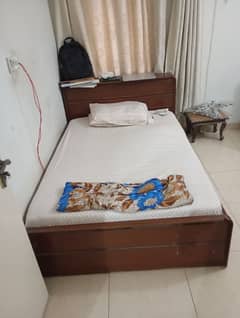 Single 5 Ft Bed with Mattress