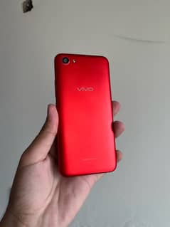 Vivo