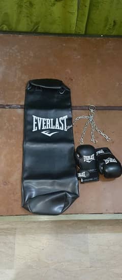 EVERLASTBOXING BAG WITH GLOVES AND CHAINS NEW