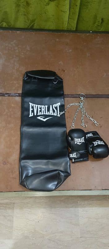 EVERLASTBOXING BAG WITH GLOVES AND CHAINS NEW 0