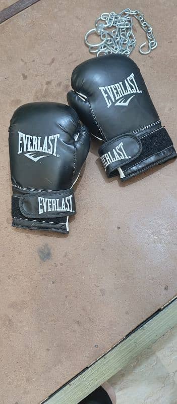 EVERLASTBOXING BAG WITH GLOVES AND CHAINS NEW 2