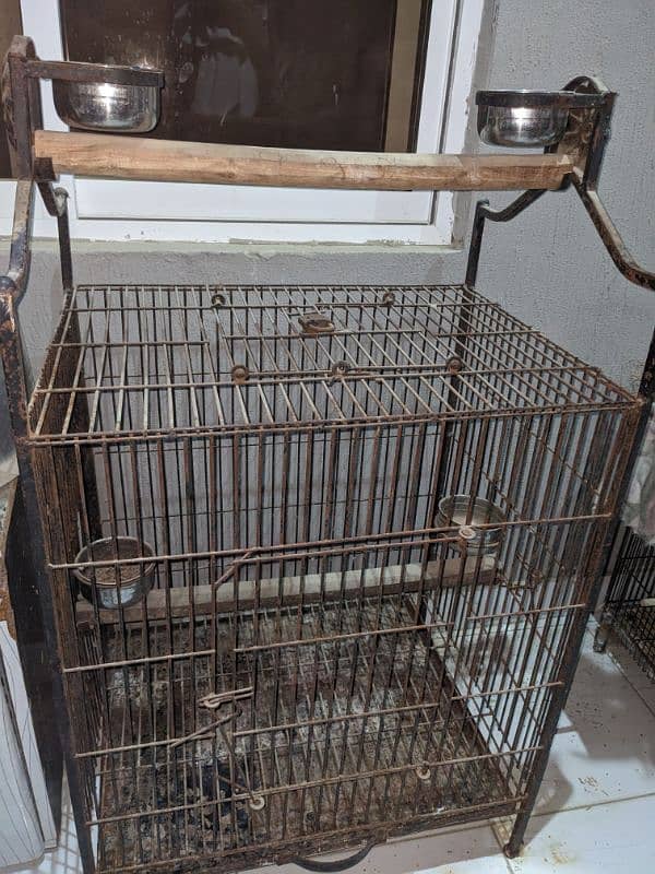 parrot iron cage 1