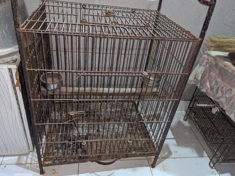 parrot iron cage 2