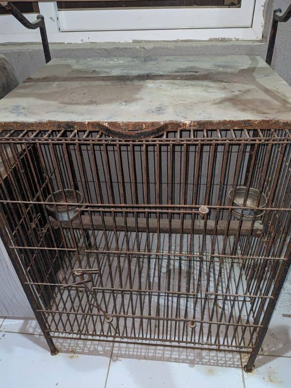 parrot iron cage 3