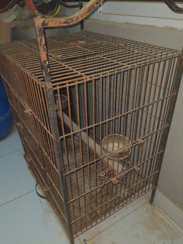 parrot iron cage 4