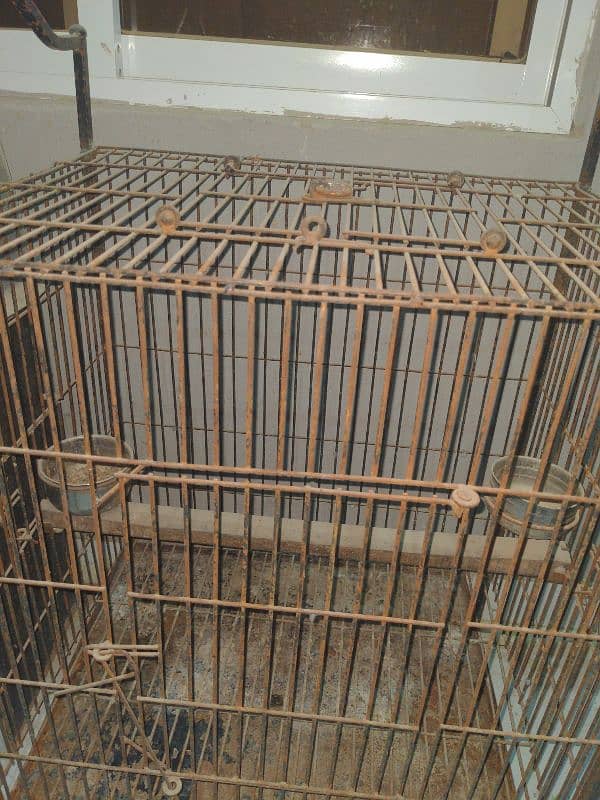 parrot iron cage 5