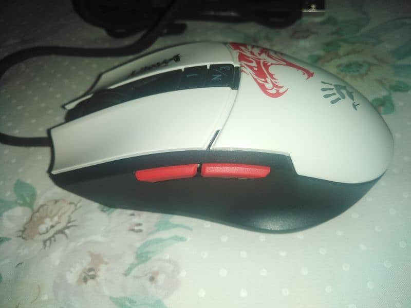 Gaming mouse bloody L65 max 3