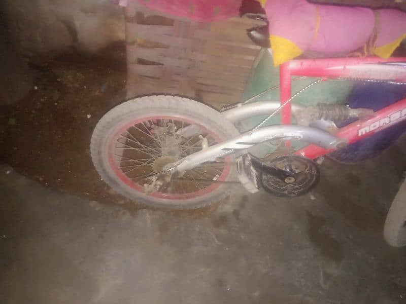 kids cycle 2