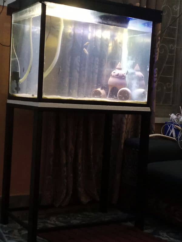 completed aquarium 0