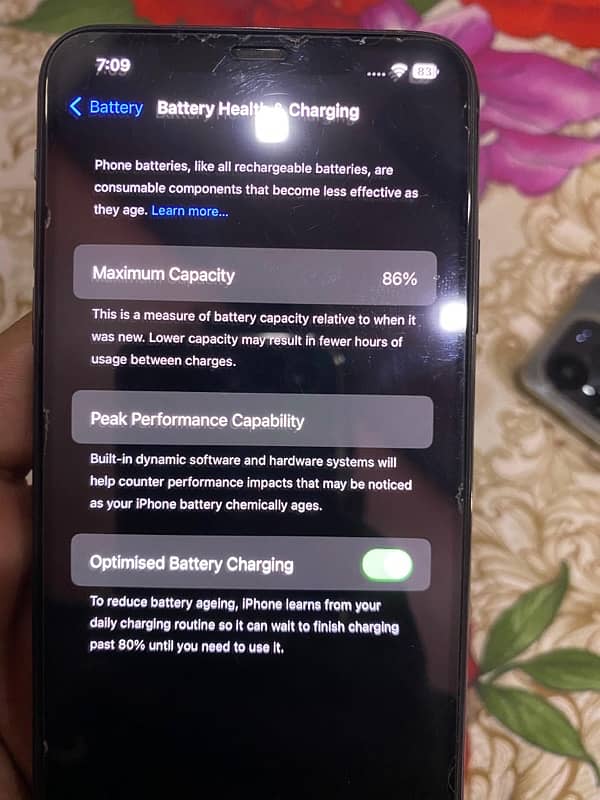 iPhone 11 Pro Max 265GB jv 4