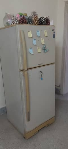 PEL Refrigerator Medium Size