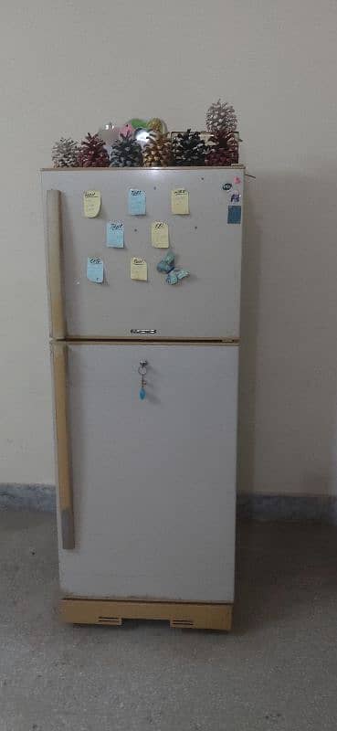 PEL Refrigerator Medium Size 3