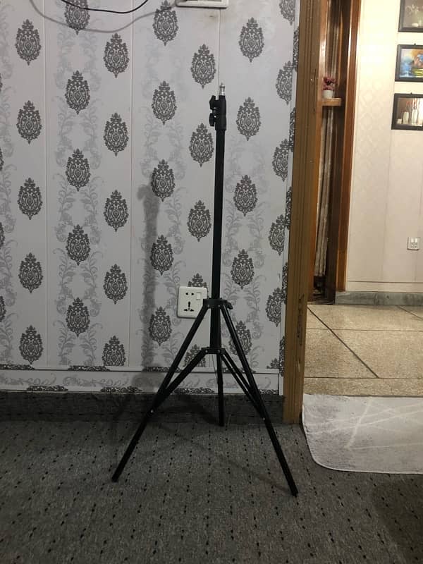 led light and stand 4