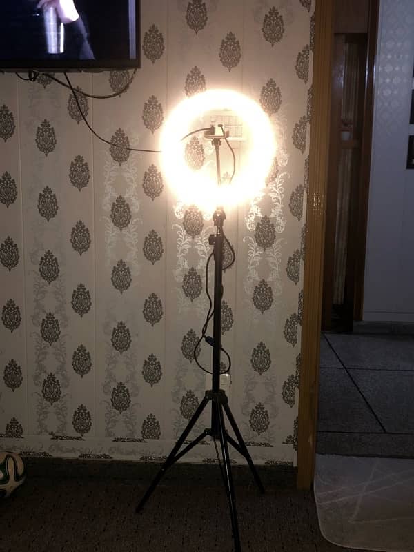 led light and stand 8