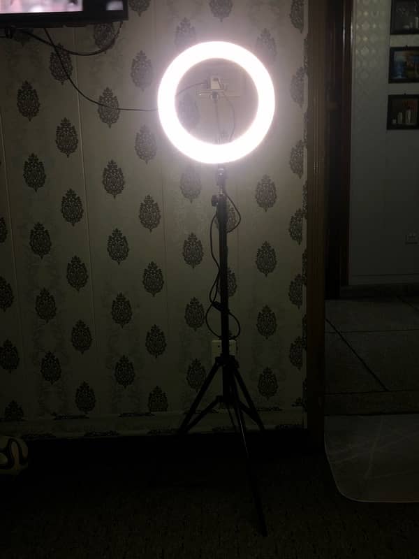 led light and stand 9