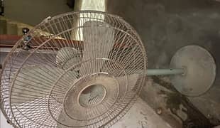 fan