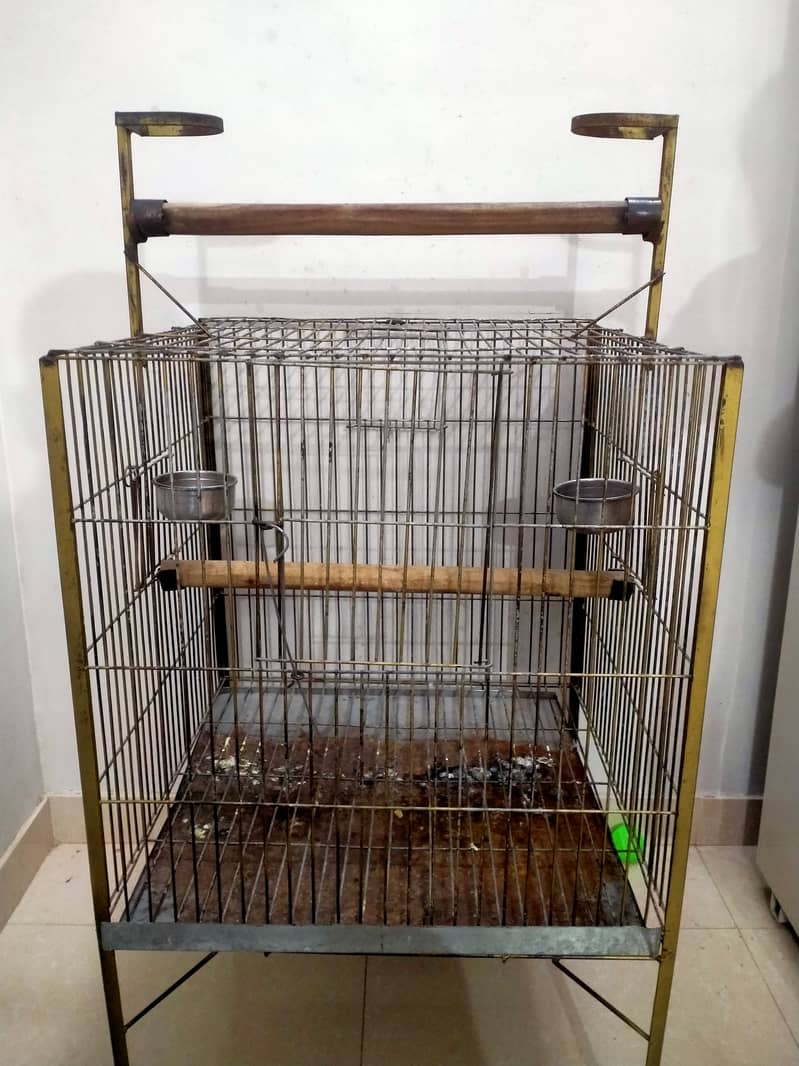 Raw parrot cage 1