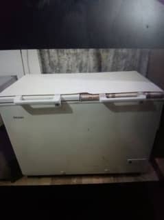 Haier freezer