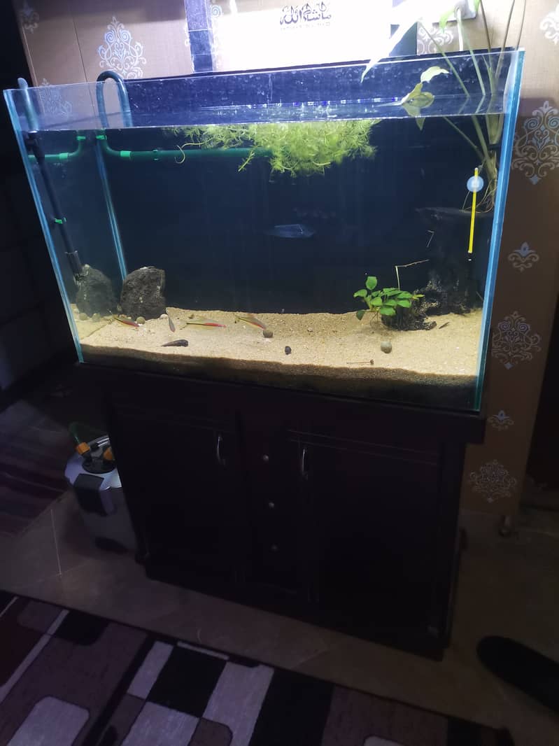 Aquarium full setup 0