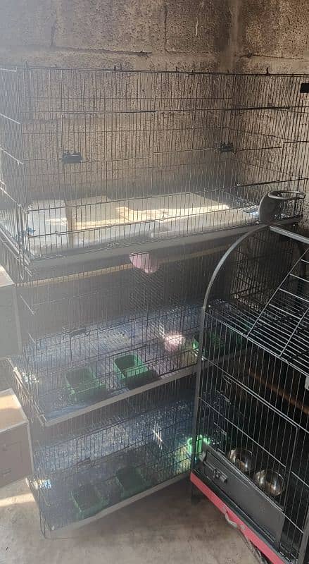 cage for sale 2