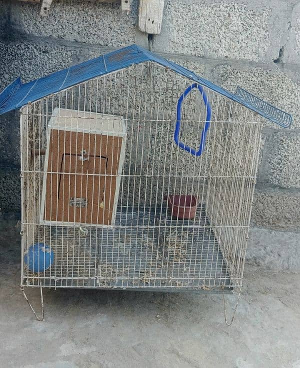 cage for sale 4