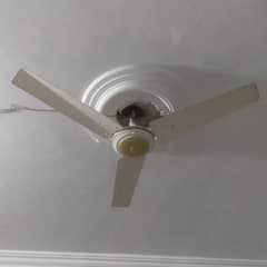 Royal Fan For Sale 2500