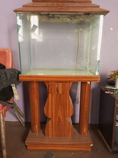 2ft aquarium (Fb Area)