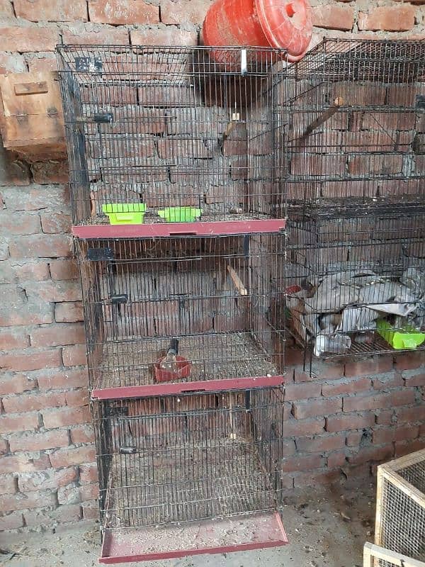 cage/breeding box /iron cage 5