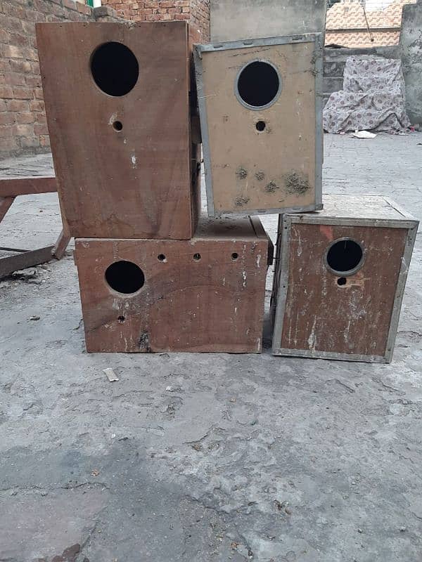 cage/breeding box /iron cage 6