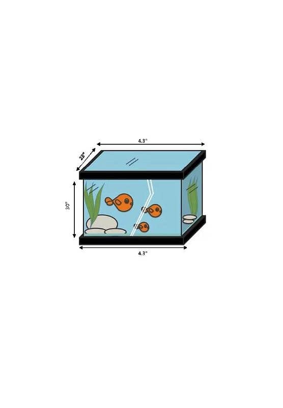 Aquarium with accessories 2