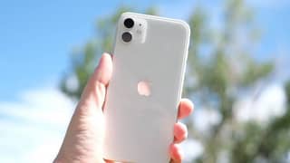 iPhone 11 PTA approved  Lush Condition