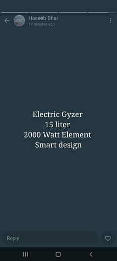 Electric Gyser