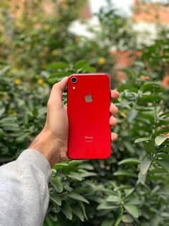 iPhone XR 128 GB