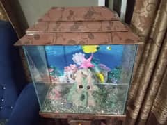 FISH AQUARIUM