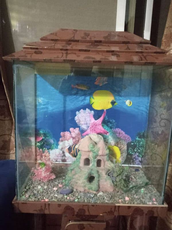 FISH AQUARIUM 2