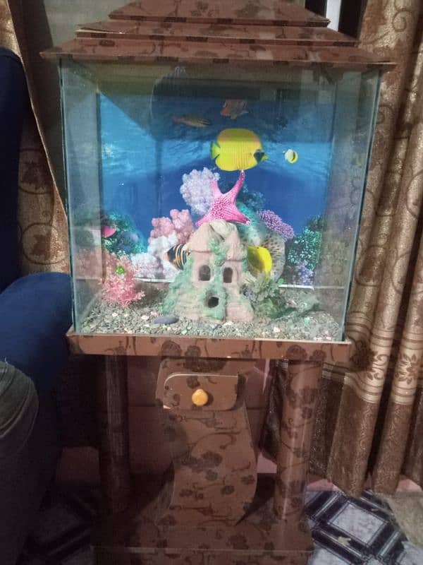 FISH AQUARIUM 3