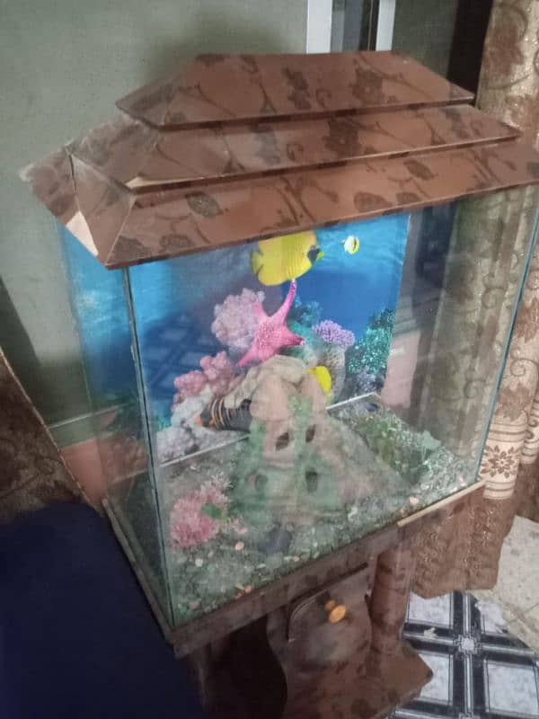 FISH AQUARIUM 6